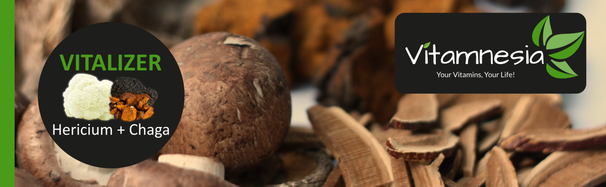 Vitalpilze – Humbug oder gut für die Gesundheit? - Vitalpilze – Humbug oder gut für die Gesundheit?