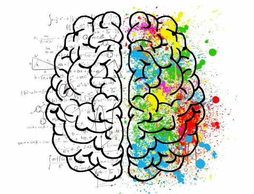 Wie fit bist du mental? - Wie fit bist du mental?