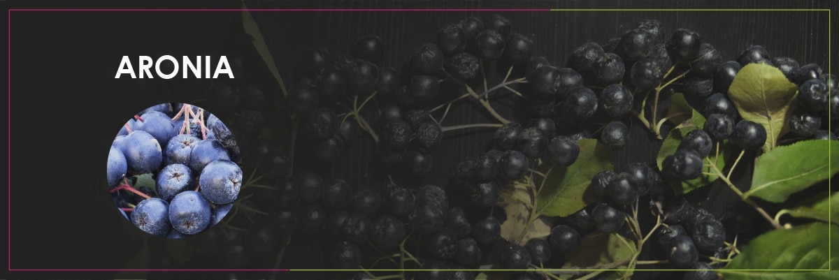 Vitamin B2 aus der Aroniabeere