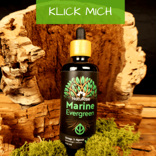 Algenöl Omega 3 kaufen