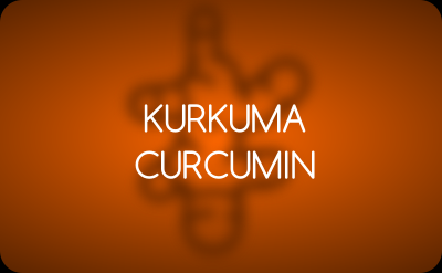 Kurkuma Ratgeber