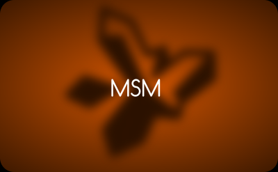 MSM Ratgeber