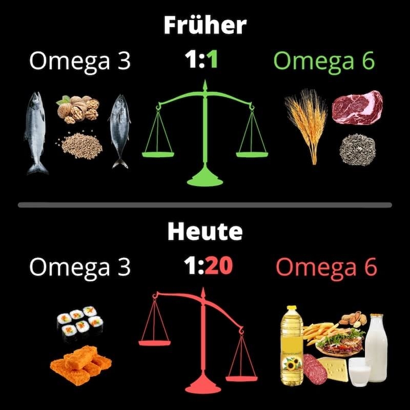 Omega 3 und Omega 6 früher und heute