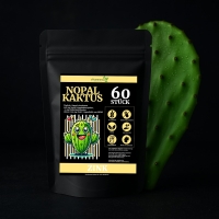 Kaktus + Zink