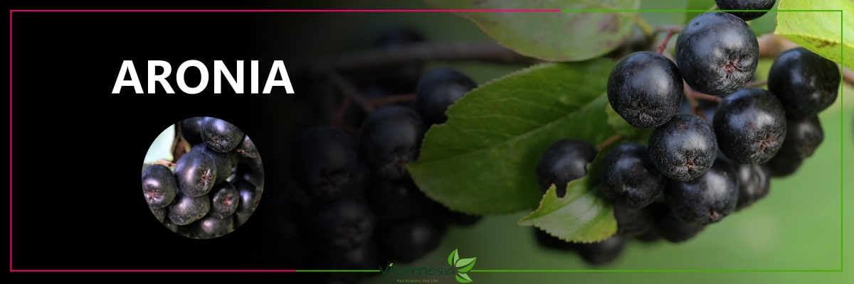 Aroniabeere als Vitaminträger – natürliches Vitamin B2