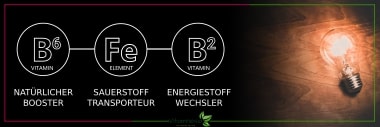 Natürlicher Energie-Booster mit Eisen, B6 und B2