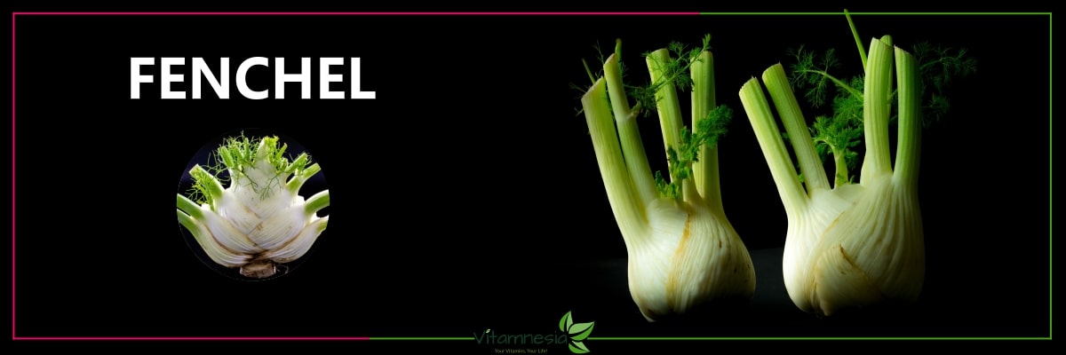 Vitamin E in Fenchel kaufen – natürliche Unterstützung für Magen & Zellen