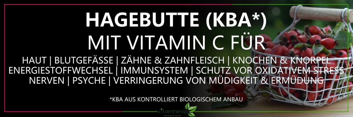 Hagebuttenextrakt mit Vitamin C in Bio-Qualität kaufen