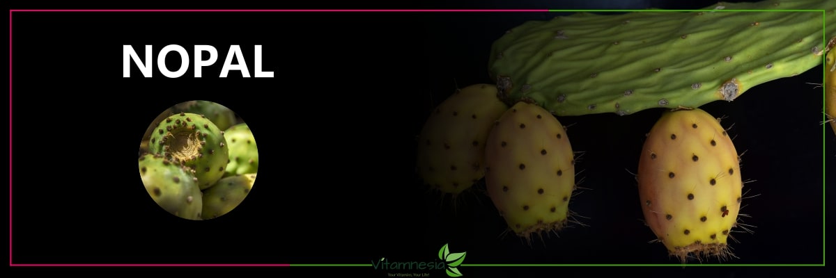 Zink Kapseln kaufen mit Nopal-Feigenkaktus – Immunsystem unterstützen