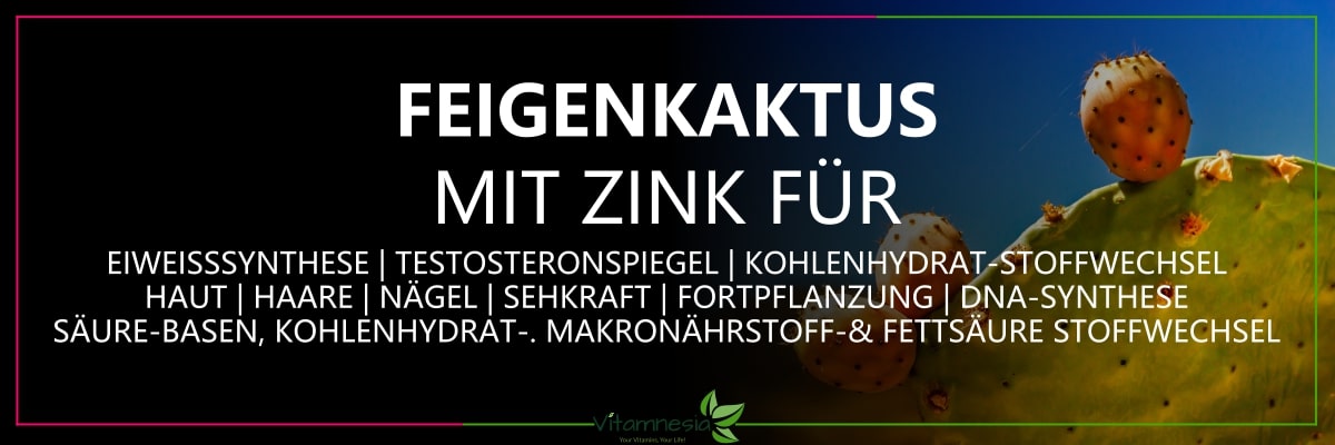 Zink aus Nopal – Unterstützung für das Immunsystem und Zellschutz