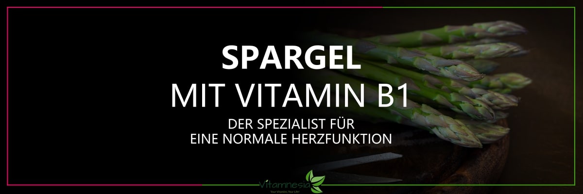 Vitamin B1 Wirkung – Unterstützung für Stoffwechsel, Herz & Psyche