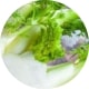 Fenchel als Vitamin E Kapseln kaufen
