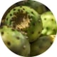 Nopal Feigenkaktus Zink als Kapseln kaufen
