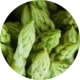 Vitamin B1 kapseln kaufen