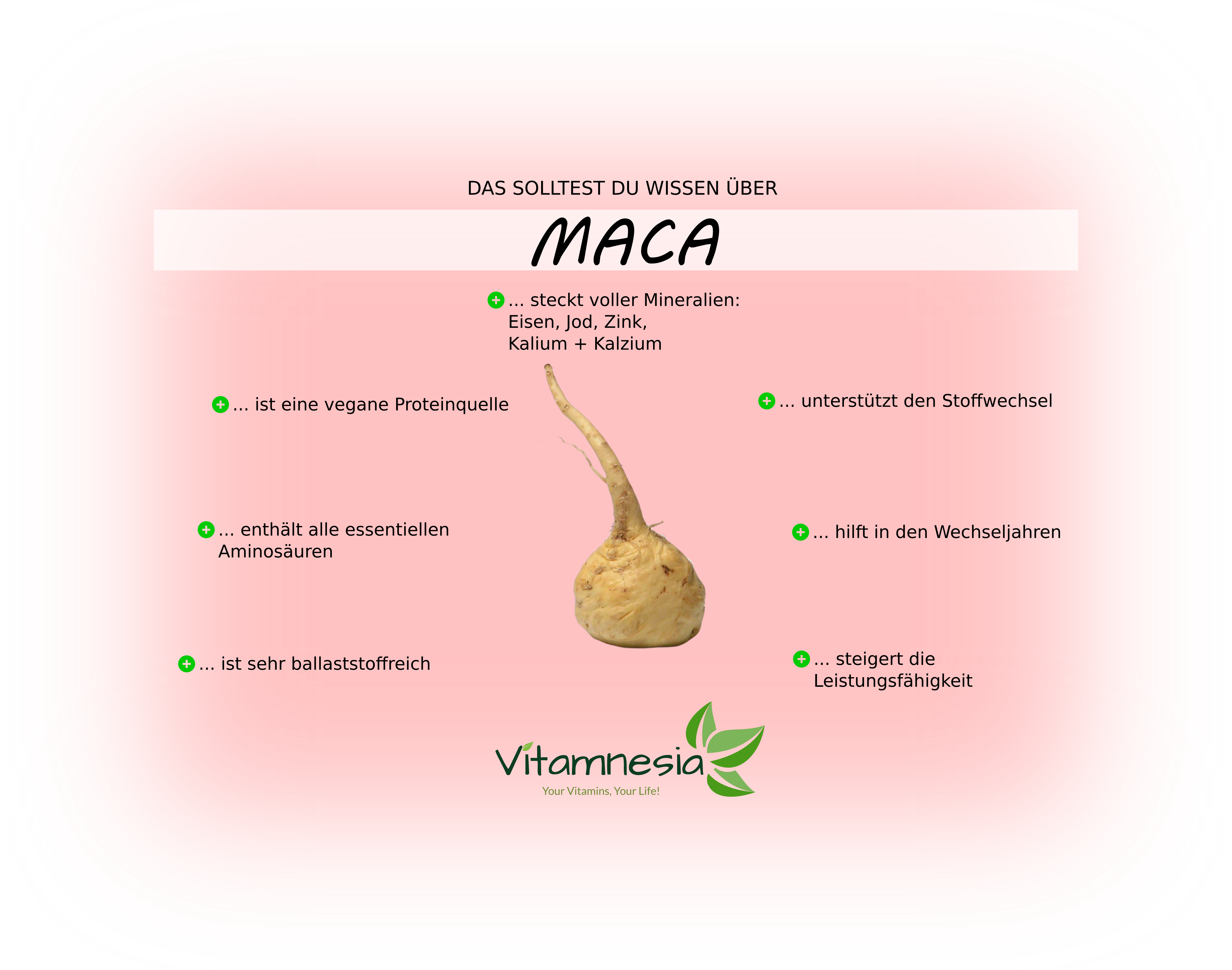 Maca Infos und Ratgeber